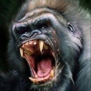 Meet your Posher, Charles